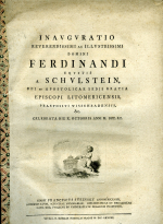 Steinsky, Franciscus - INAVGVRATIO REVERENDISSIMI AC ILLVSTRISSIMI DOMINI FERDINANDI EQVITIS a SCHVLSTEIN, DEI et APOSTOLICAE SEDIS GRATIA EPISCOPI LITOMERICENSIS, PRAEPOSITI WISSEHRADENSIS. Et CELEBRATA DIE x. OCTOBRIS ANNI M. DCC. XC.