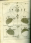 Kircher, Athanasius - Iter extaticum Coeleste, Quo Mundi opificium, id est, Coelestis Expansi, siderumq[ue]; tam errantium, quam fixorum natura, ... Hac secunda editione Praelusionibus & Scholiis illustratum; ... ipso auctore annuente, a P. Gaspare Schotto ...