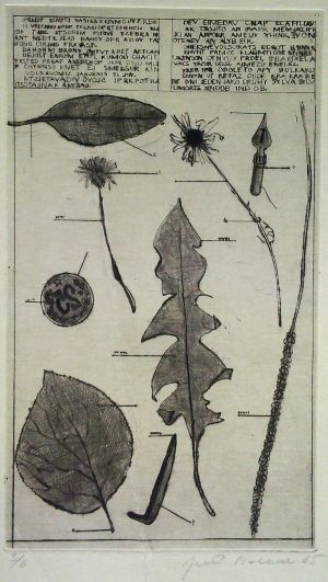 Z herbáře - Balcar, Jiří