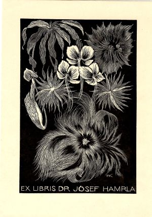 Ex libris Dr. Josef Hamrla - Kobliha, František