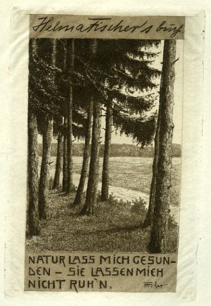 Helma Fischer´s Buch [Tannenlandschaft] - Fischer-Oels, Helma