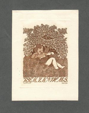 Jsem z knih M.S. - Kulhánek, Stanislav