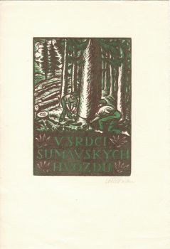 V srdci šumavských hvozdů