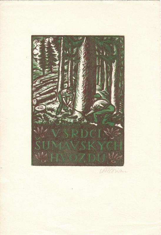 V srdci šumavských hvozdů