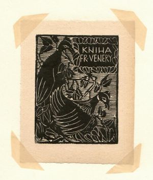 Kniha Fr. Venery - Macková, Anna