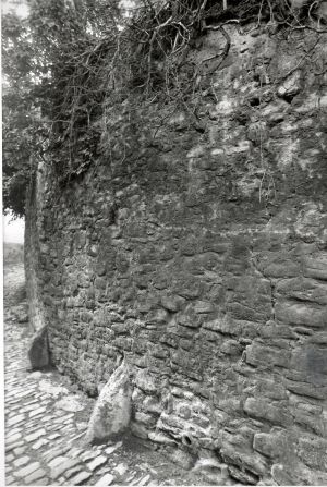 Ruthartka v Kutné Hoře - Meister, Karel