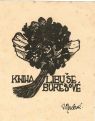 Kniha Libuše Burešové - Macková, Anna