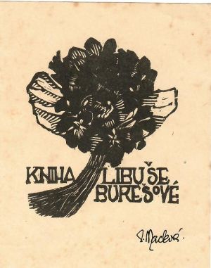 Kniha Libuše Burešové - Macková, Anna