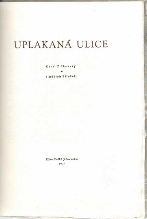 Uplakaná ulice.