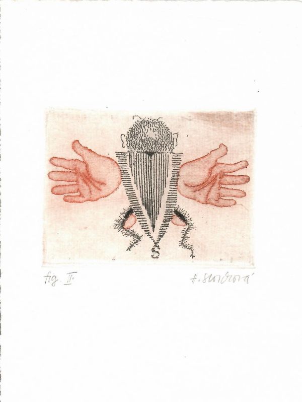 Vývoj brouka (z cyklu přírodozpytných záznamů). Fig. II.