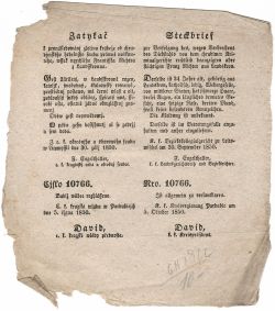 Zatykač k pronásledowánj zločinu krádeže od chrudjmského soudu práwně nařknutého, wssak uprchlého Frantisska Richtra z Landsskrouna. 