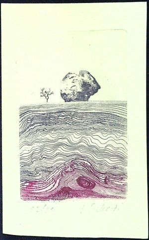 bez názvu - Sivko, Václav