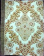 Krátký přehled Leboslowí s přidaným objasněním smyslů (organa) i zábywů mozku, jejž sepsal a wydal Dr. Wáclaw Staněk. - Staněk, Václav, Dr.